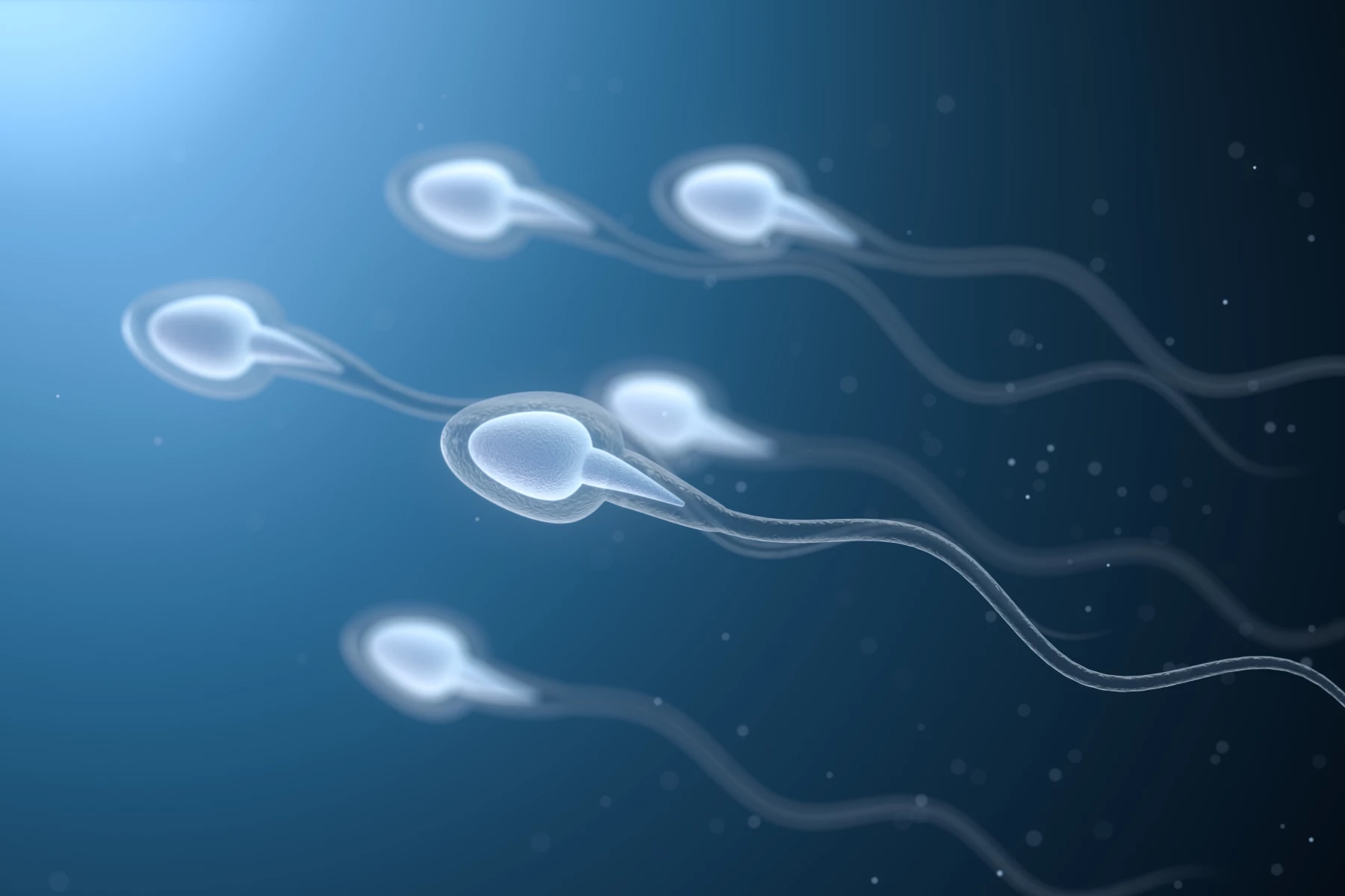 Le Spermogramme : Un Examen Clé pour Évaluer la Fertilité Masculine