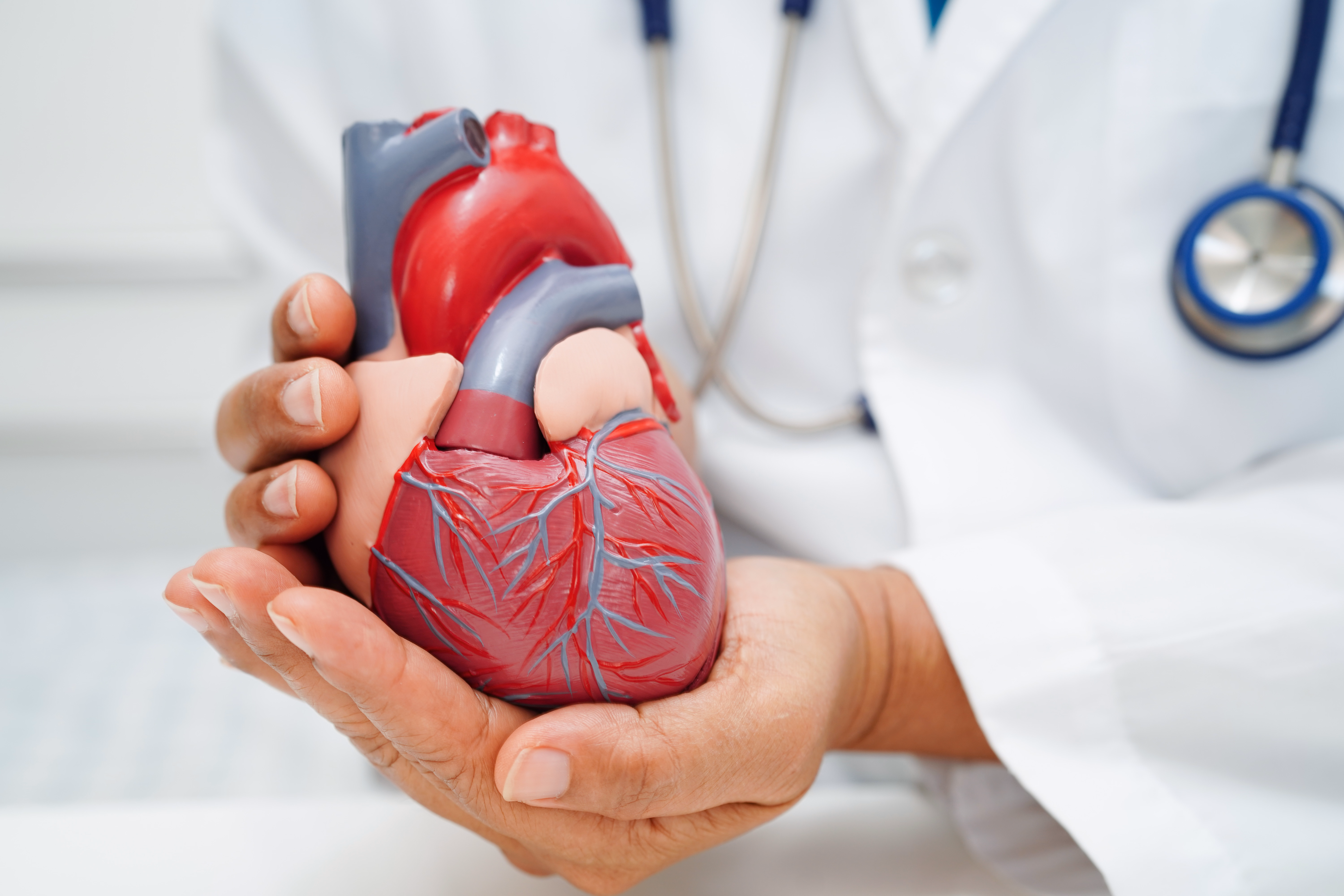Cardiologie